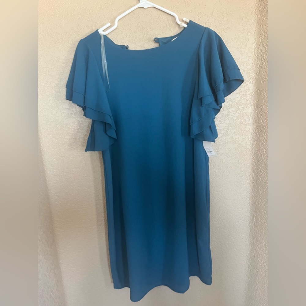 New with tags Francesca’s dress